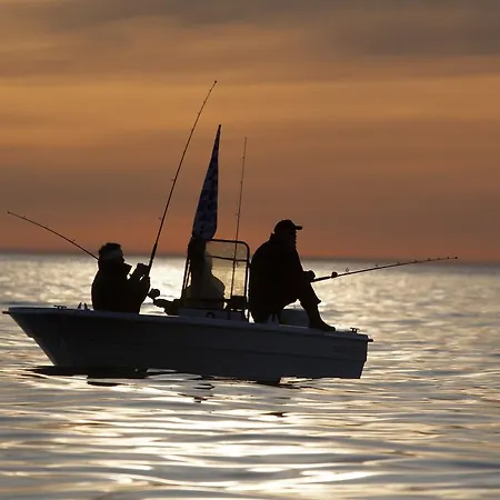 Lodger Fjordcamp Kråkberget